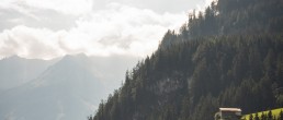 österreich-wälder-bäume-berge
